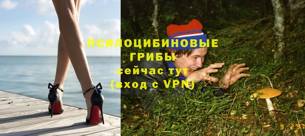 СК Зеленокумск