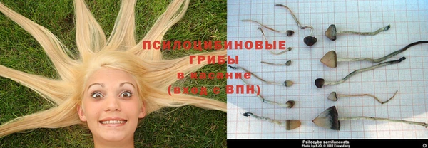 марки lsd Зерноград