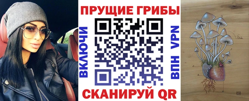 Купить закладки  Белый  Псилоцибиновые грибы прущие грибы 